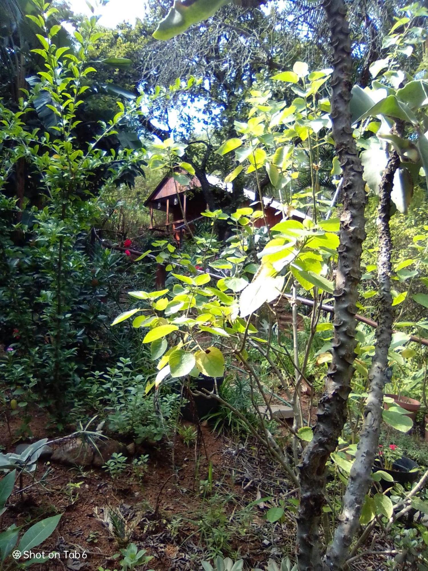 Pumba'S Lookout Villa Barberton Exterior photo