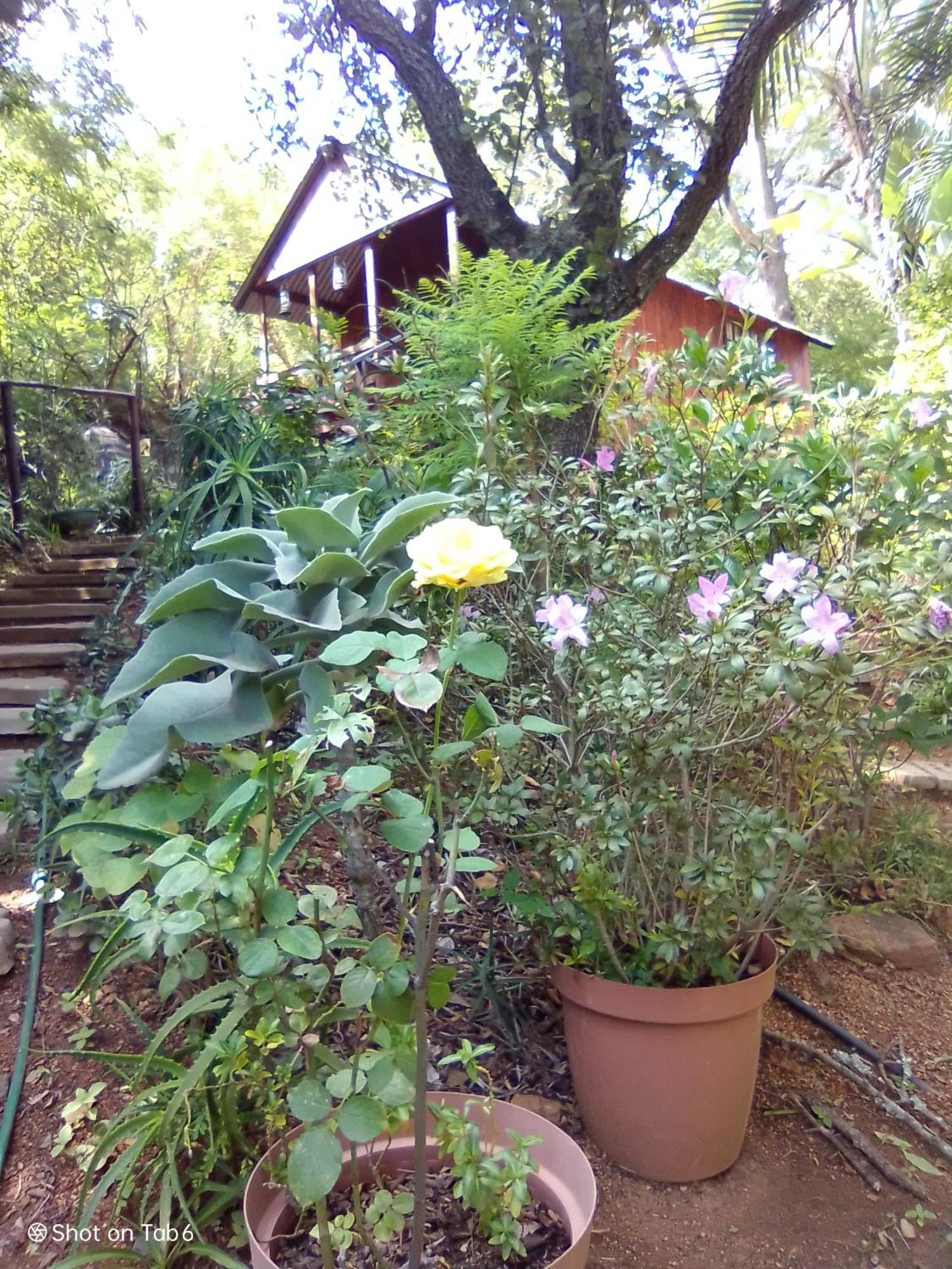 Pumba'S Lookout Villa Barberton Exterior photo